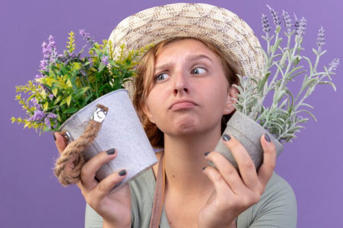 Natural Beauty Ingredients That Are Taking Over in 2026