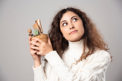 The Rise of Vegan Beauty: What You Need to Know in 2026