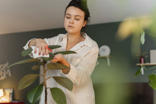 Sustainable Sourcing Becomes Standard in High-End Beauty