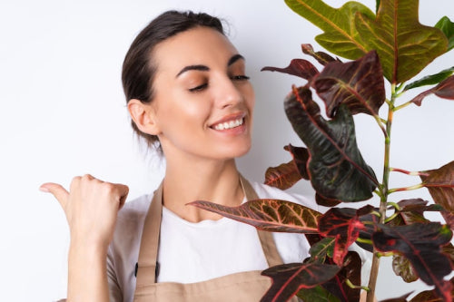 Plant-Derived Actives Support Long-Term Skin Health Goals