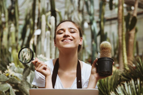 Plant-Based Actives: Research Behind Their Growing Role in Effective Skincare