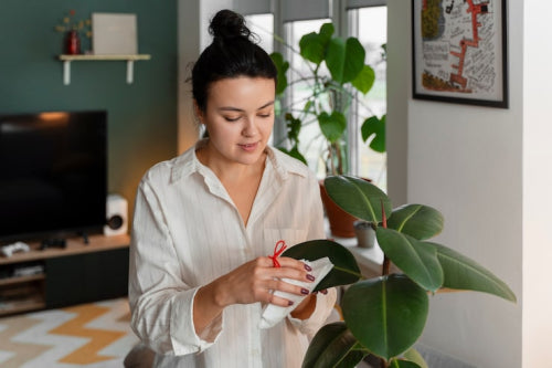 How to Compare Plant-Based Skincare Ingredients