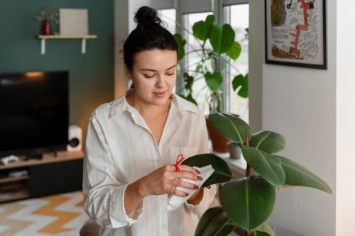 What to Consider When Selecting Plant Based Skincare Products