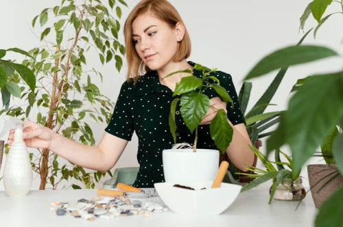Why Plant-Derived Ingredients Are Transforming Modern Skincare