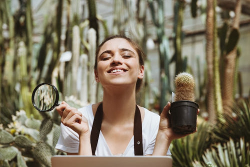 How to Choose Sustainable Beauty Products That Support the Environment