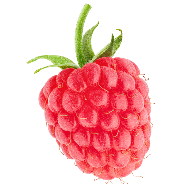 Raspberry (Leaf) Extract