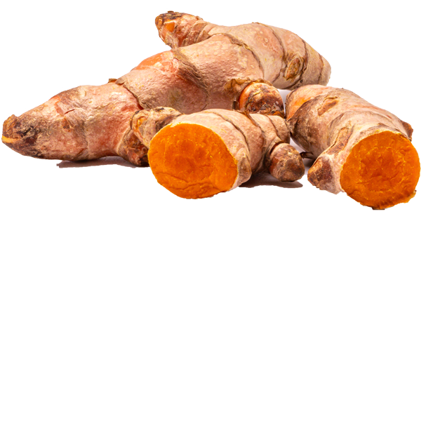 Turmeric (Root) Extract